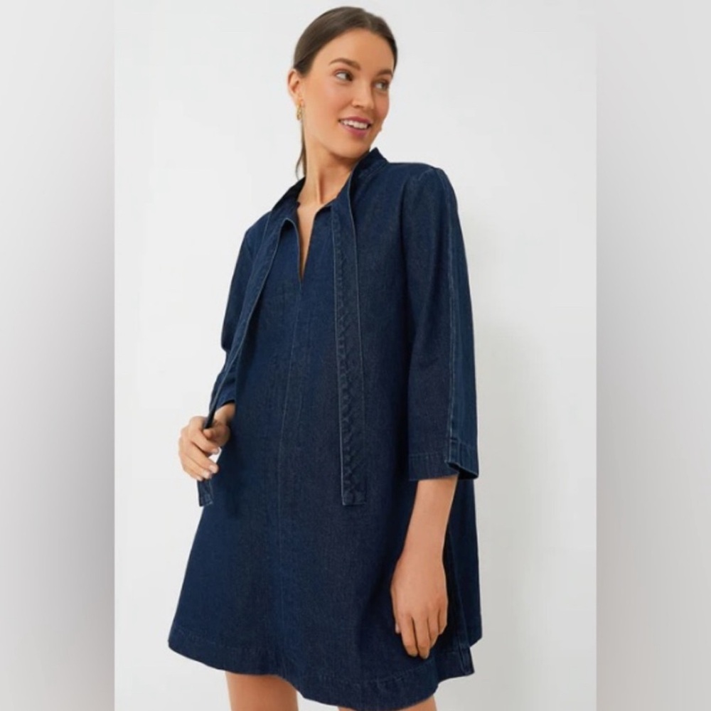 Pomander Place - Denim Marsella Dress
